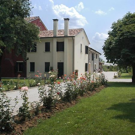 Ca' Premuda Locazione Turistica Villa Codognè Dış mekan fotoğraf